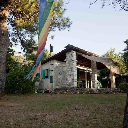 Holiday Home Dajla 35 Novigrad Istria Exterior foto